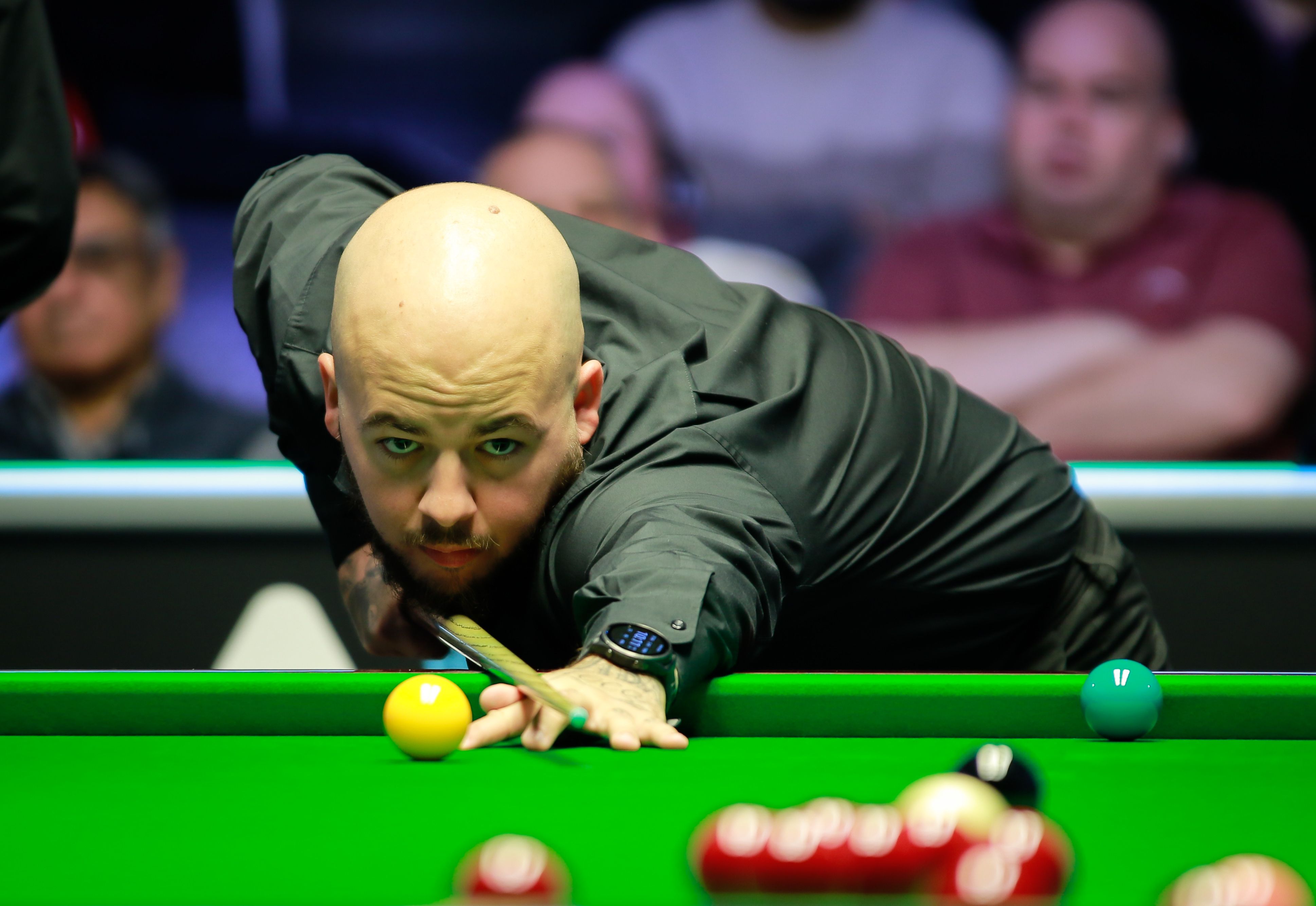 才能的明星 才能的明星